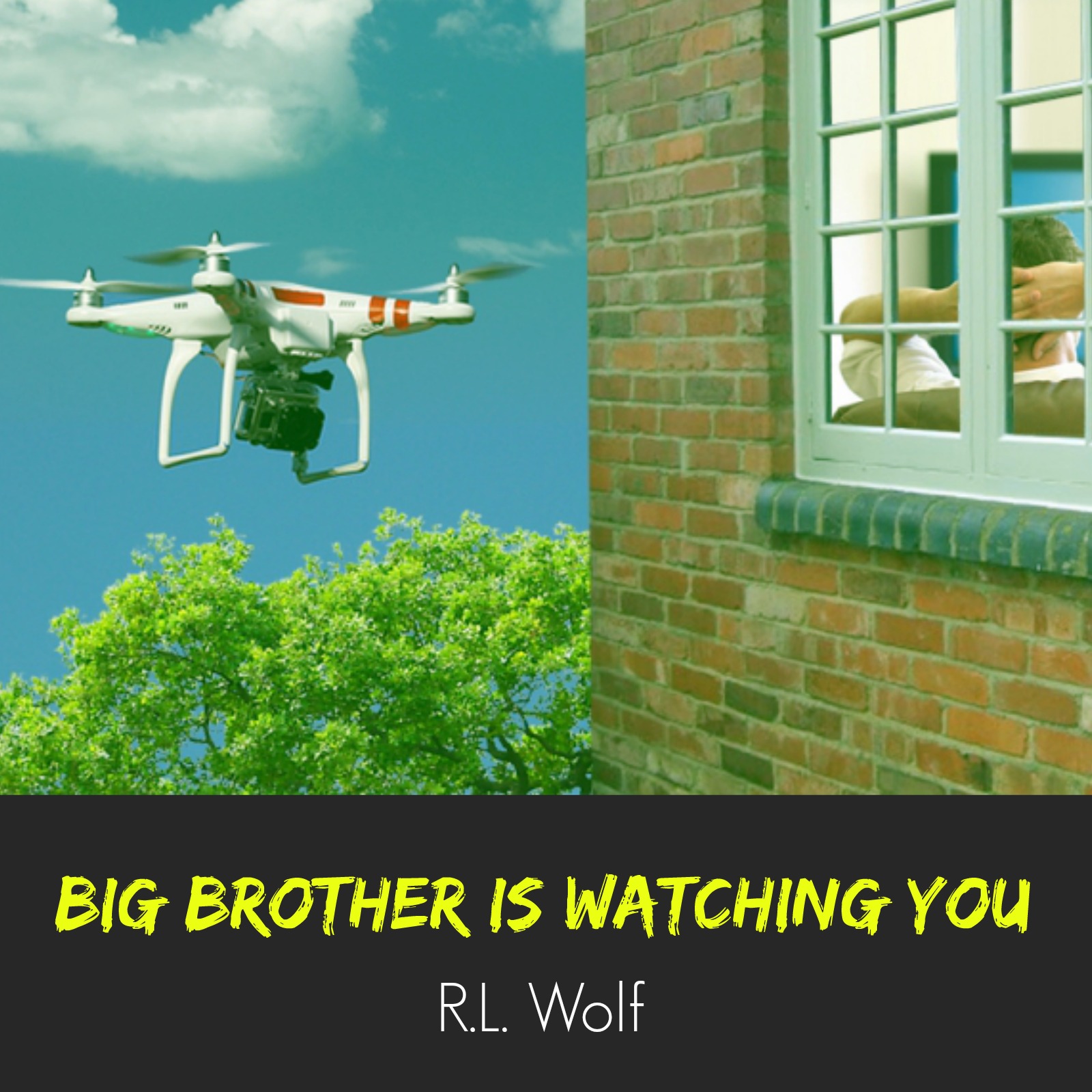 Arachnophobia Treatment by R.L. Wolf Hypnotherapist