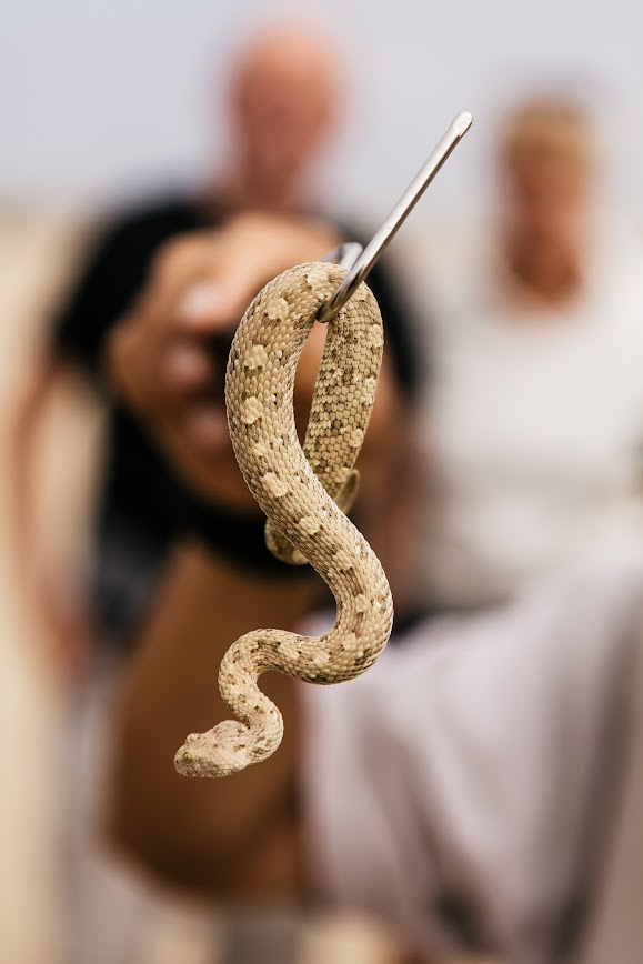 Cure Fear of Public Speaking